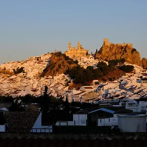 Apartamento En Apartamento Olvera